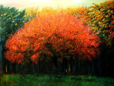 Print of Impressionism Tree Paintings by Corné Akkers