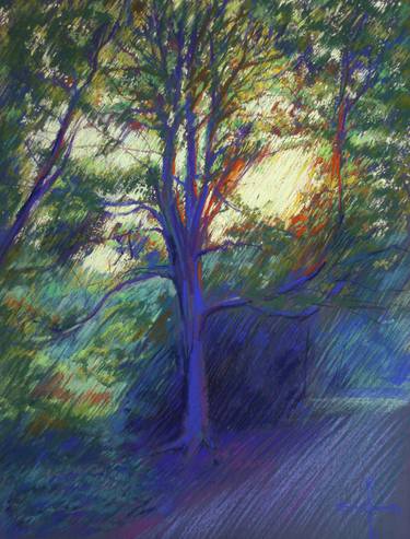 Original Impressionism Tree Drawings by Corné Akkers