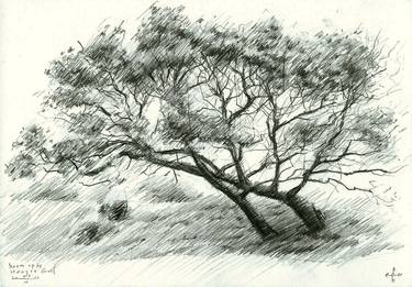 Original Realism Tree Drawings by Corné Akkers