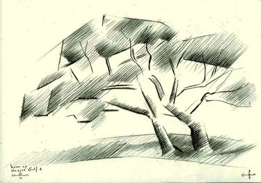 Original Realism Tree Drawings by Corné Akkers