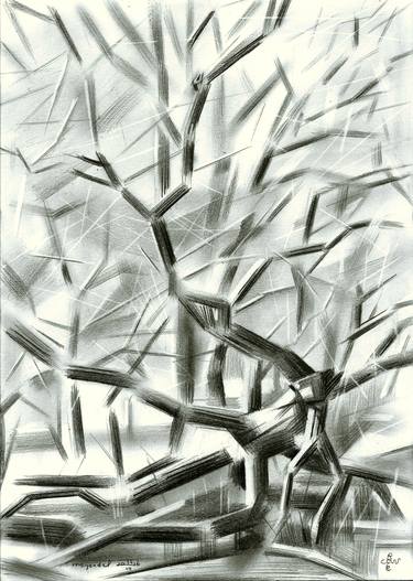 Print of Abstract Tree Drawings by Corné Akkers