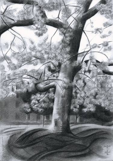 Original Art Deco Tree Drawings by Corné Akkers
