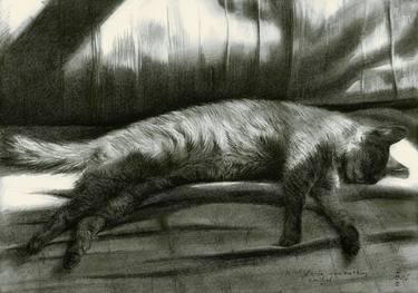 Print of Realism Cats Drawings by Corné Akkers