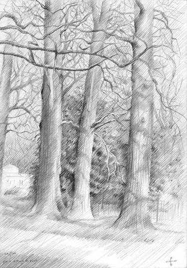 Print of Impressionism Tree Drawings by Corné Akkers