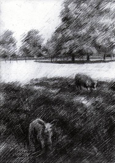 Original Impressionism Animal Drawings by Corné Akkers