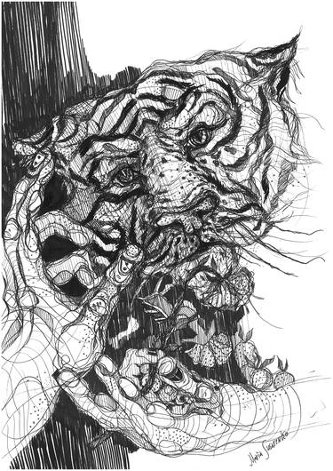 Tiger Drawing thumb