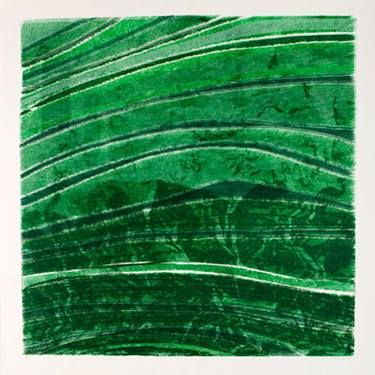 Original Nature Printmaking by Juul Rameau