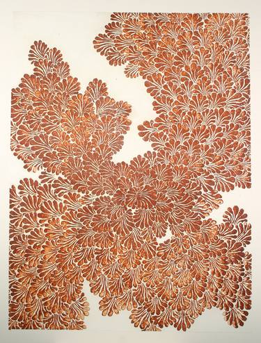 Original Nature Printmaking by Juul Rameau