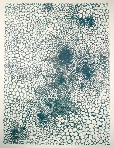 Original Nature Printmaking by Juul Rameau