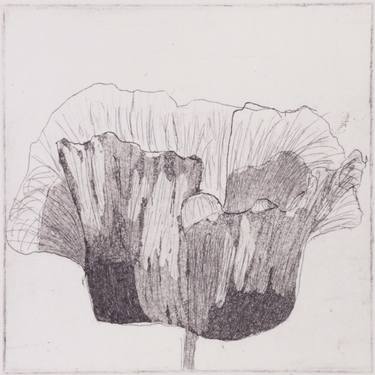 Original Figurative Nature Printmaking by Juul Rameau