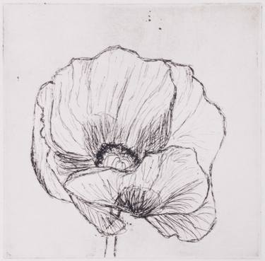 101 poppies in one day, #4 - Limited Edition of 3 thumb