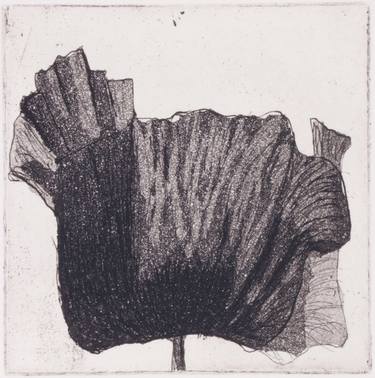 Original Nature Printmaking by Juul Rameau