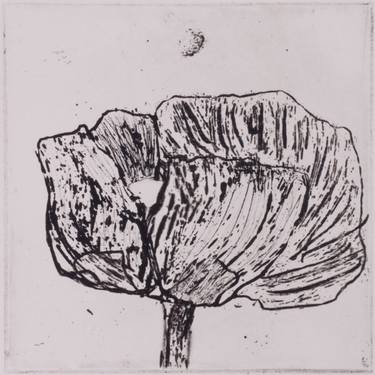 Original Nature Printmaking by Juul Rameau