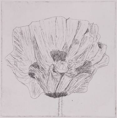 101 poppies in one day, #13 - Limited Edition of 3 thumb