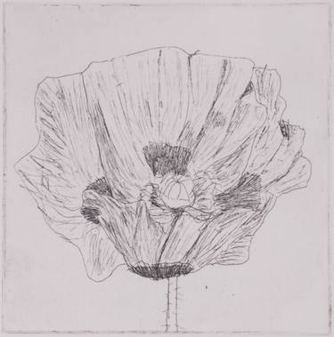 Original Nature Printmaking by Juul Rameau