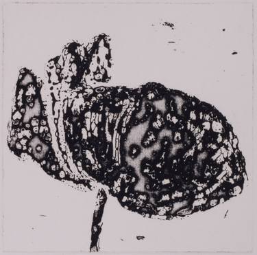 Original Abstract Nature Printmaking by Juul Rameau