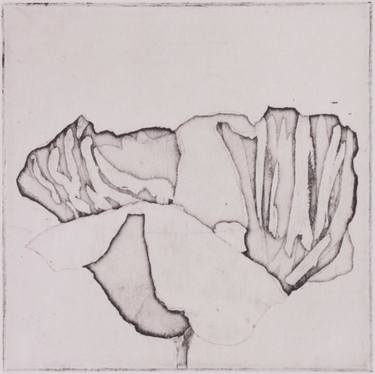 Original Figurative Nature Printmaking by Juul Rameau