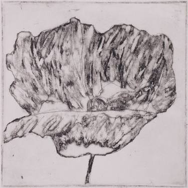 101 poppies in one day, #30 - Limited Edition of 3 thumb