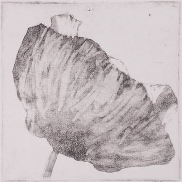 Original Nature Printmaking by Juul Rameau