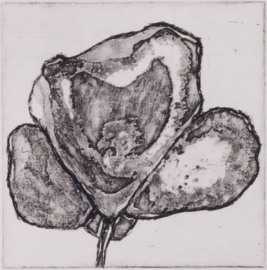 Original Nature Printmaking by Juul Rameau