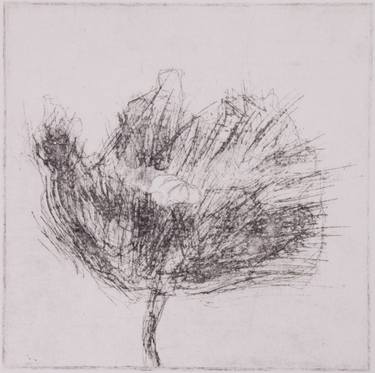 Original Nature Printmaking by Juul Rameau