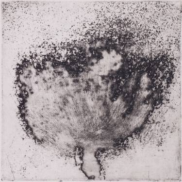 Original Abstract Nature Printmaking by Juul Rameau