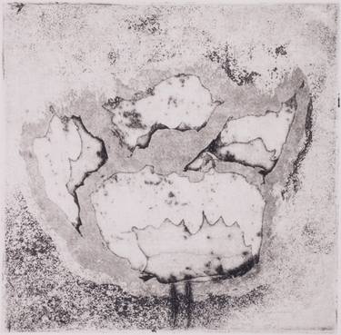 Original Nature Printmaking by Juul Rameau