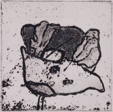 Original Nature Printmaking by Juul Rameau