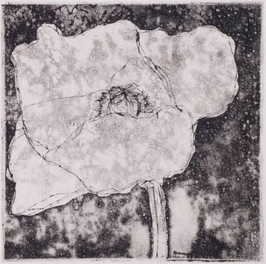 Original Nature Printmaking by Juul Rameau