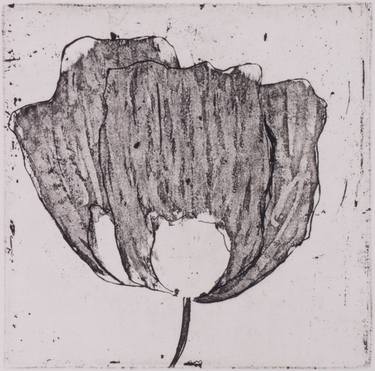 Original Nature Printmaking by Juul Rameau