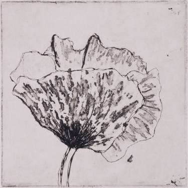 101 poppies in one day, #76 - Limited Edition of 3 thumb