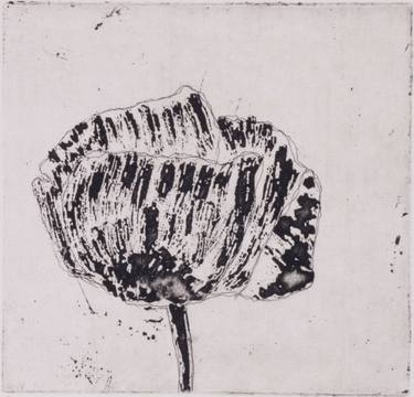 Original Nature Printmaking by Juul Rameau