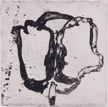 Original Nature Printmaking by Juul Rameau