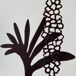 Botanica 30 by Juul Rameau