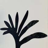 Botanica 35 by Juul Rameau