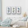 Wall grouping of three framed Field of Dreams