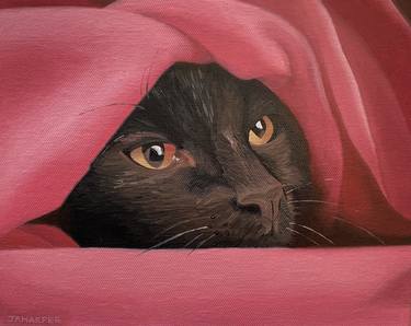 Cat In A Pink Blanket thumb