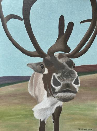 Original Realism Animal Paintings by Jill Ann Harper