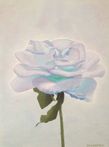 Print of Floral Paintings by Jill Ann Harper