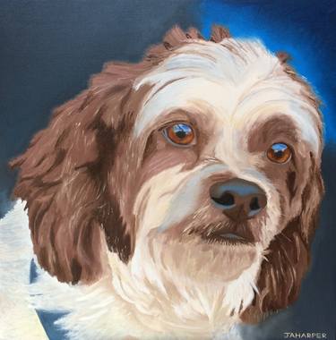 Original Realism Dogs Paintings by Jill Ann Harper