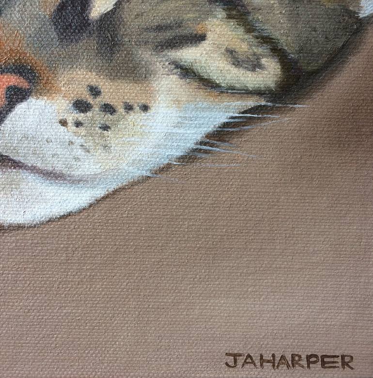 Original Realism Cats Painting by Jill Ann Harper