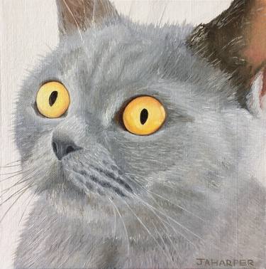 Print of Realism Cats Paintings by Jill Ann Harper