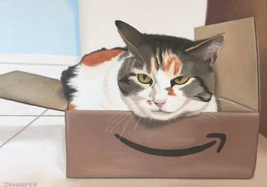 Cat in an Amazon Box thumb