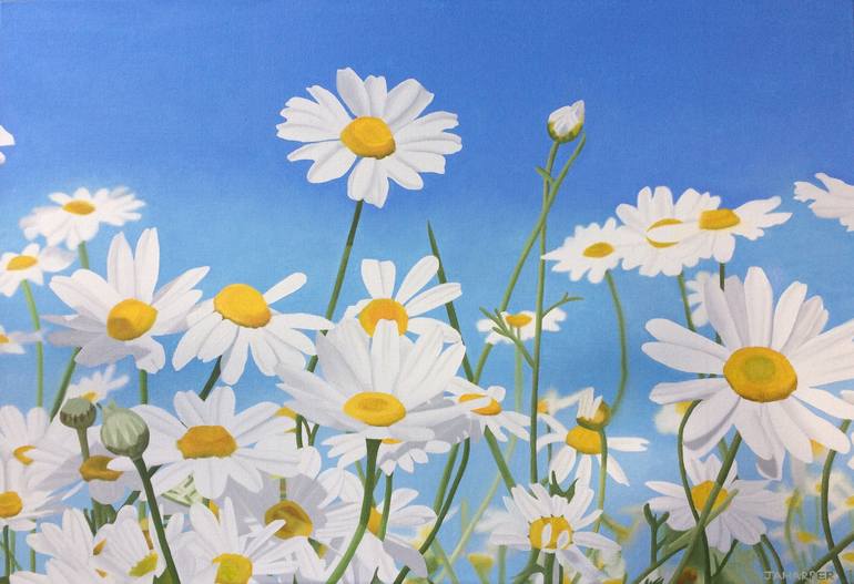Daisies Painting by Jill Ann Harper  Saatchi Art