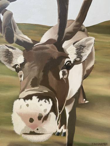 Print of Realism Animal Paintings by Jill Ann Harper