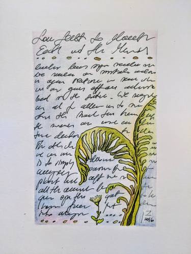 Original Illustration Botanic Drawings by Joanna Zajusz