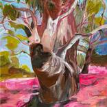 Wise Old Murray River Red Gum Tree by Joanna Cole