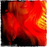 Collection Red Light District