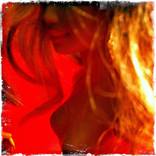Collection Red Light District