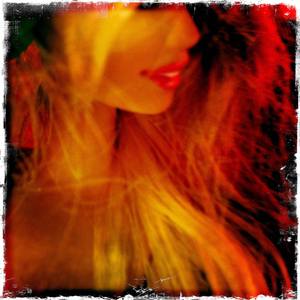 Collection Red Light District